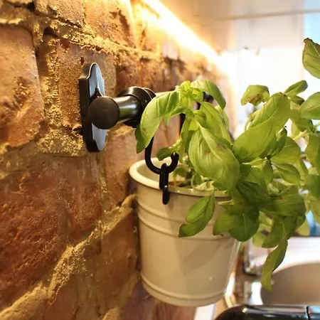 Sydonia - Malkowskiego * Щецин