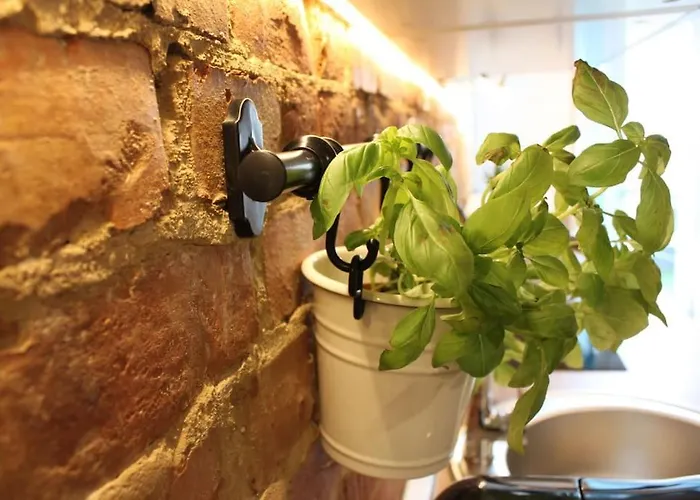 Sydonia - Malkowskiego * Szczecin